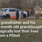 A Quiet Afternoon Turns Into a Heartbreaking Emergency No One Saw Coming