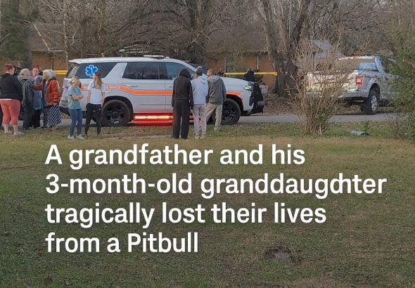 A Quiet Afternoon Turns Into a Heartbreaking Emergency No One Saw Coming