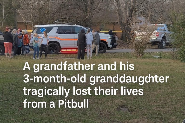A Quiet Afternoon Turns Into a Heartbreaking Emergency No One Saw Coming