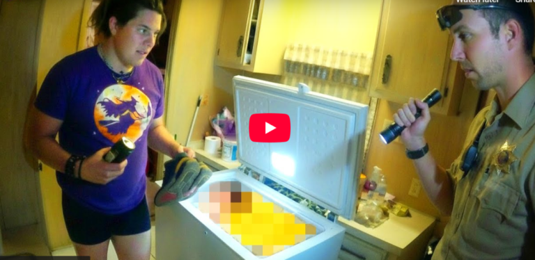 Police Make a Chilling Discovery Inside a Home Freezer That Leaves Everyone Stunned